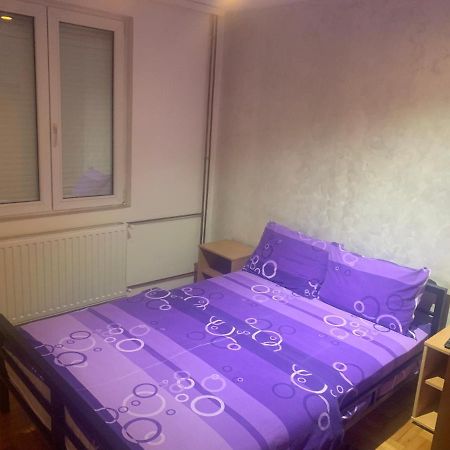 Prenociste Ankica Hotel Niska Banja Bagian luar foto